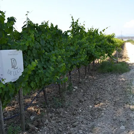 De Luca