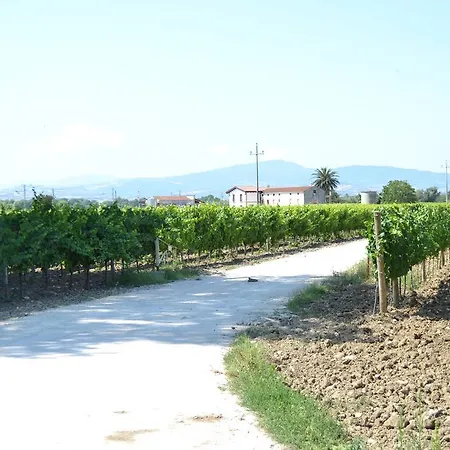 De Luca Mozzagrogna
