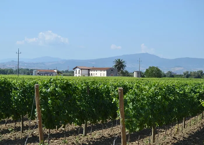 Κατάλυμα σε φάρμα De Luca Mozzagrogna